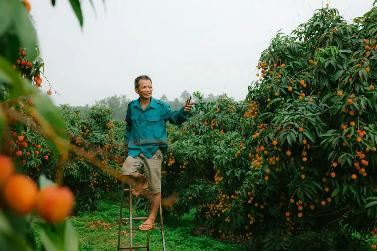 华北企业项目管理软件光盘选型与实施要点分析
