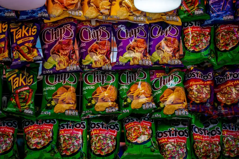 企业工时管理与里程碑设置：田在新软件光盘功能解析