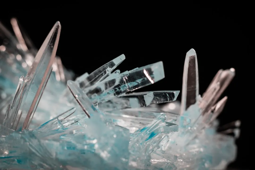 项目管理软件光盘与网络版协同办公的效率对比分析